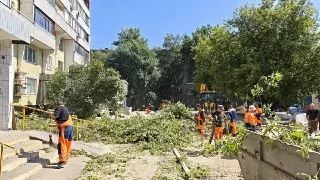 Благоустройство Химкинского бульвара: новые дорожки и зоны отдыха