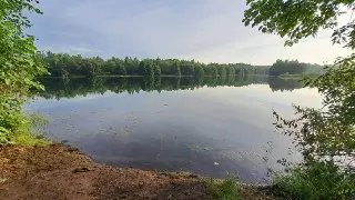 Компания в Одинцове нарушила Водный кодекс: доступ к ручью закрыт