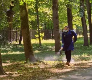 В Лосино-Петровском завершена обработка парков от клещей