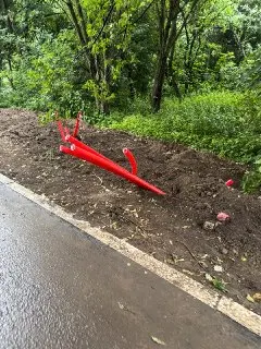 Обновление освещения в «Коломенском» улучшит прогулки по аллее