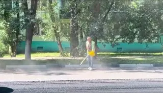 Способ Уборки Вдоль Дорог В Железнодорожном Вызвал Обсуждение