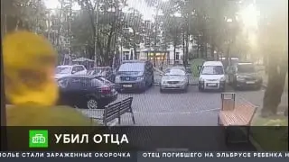 Сын обвиняется в убийстве пожилого мужчины в Ярославском районе