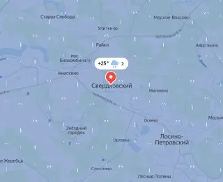 Синоптики предсказывают дождь и грозы в столичном регионе