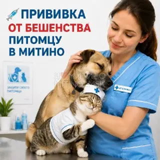 Бесплатная прививка от бешенства для питомцев в Митино