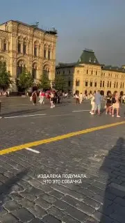 Москвича арестовали за прогулку с козой на Красной площади