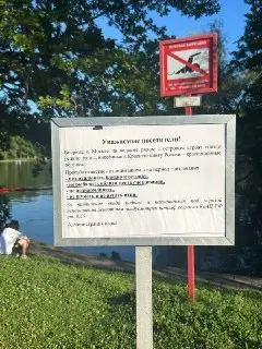 Новые Правила Для Защиты Гнездования Редких Птиц