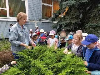 Дошкольники Изучают Природу на Экологической Тропе