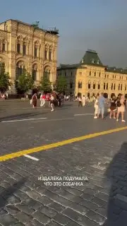 Москвич получил 5 суток за прогулку с козой в центре города