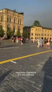 Арест за Прогулку с Козой по Красной Площади: Все Подробности