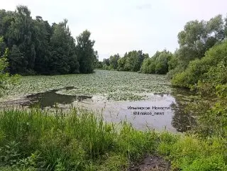 Состояние реки Липка в Поздняково вызывает обеспокоенность жителей