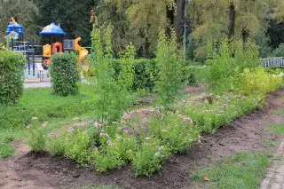 Обновление парка «Костино» в Королёве: новые растения и техника