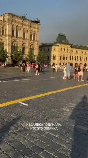 Москвич арестован за выгул козы на Красной площади