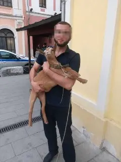 Мужчина с козой на Красной площади получил 5 суток ареста