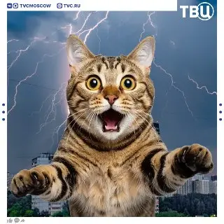 В Москве и Подмосковье объявлен желтый уровень погодной опасности