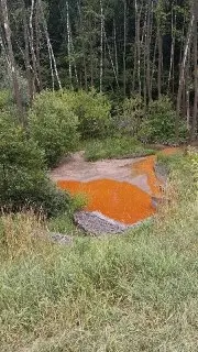 В реку Гвоздянку сливают химические отходы: экологи на страже