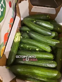 Закрытие «Пятёрочки» в Москве: крысы и антисанитария