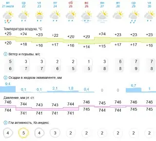 Долгожданные дожди в Москве: 10 дней непогоды впереди