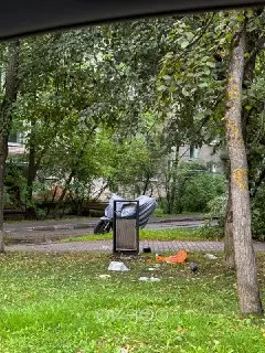 Переполненные урны в Одинцово: проблемы с уборкой остаются