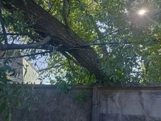 Дерево упало на забор в Кашире, угрожая электропередачам