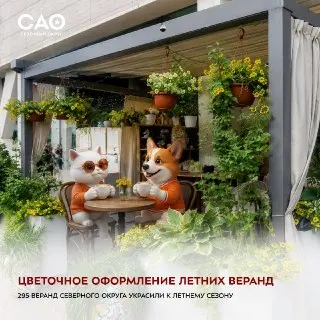 Летние веранды Северного округа украсят цветочные композиции