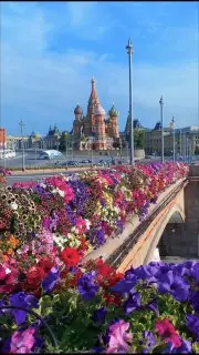Запрет на вождение для водителей старше 60 лет: причины и последствия