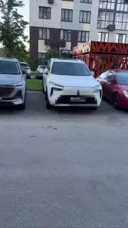 Народный способ зарядки электромобиля обнаружен в Подмосковье