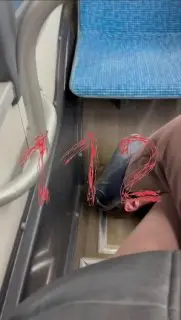 Суд обязал москвичку выплатить 10 тысяч рублей за видео с автобусом