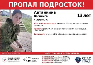 Пропавшая в Подмосковье девочка: продолжаются поиски