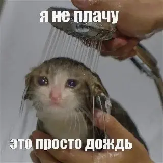 Синоптики прогнозируют дожди до конца июля с пиком в пятницу