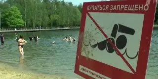 Увеличение случаев «зуда купальщика» в России: что нужно знать