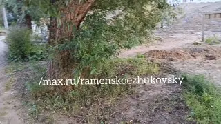 Восстановление Быковского пруда: новая жизнь для водоема
