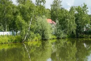 Проверка Пожарных Водоёмов в Химках: Как Обеспечивают Безопасность