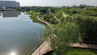 Четыре новых общественных пространства в Люберцах: благоустройство 2023