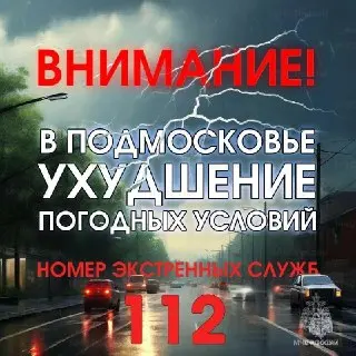 Гроза и дождь ожидаются в Московской области в ближайший час