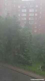 МЧС предупреждает: Ливень и гроза ожидаются в Московском регионе
