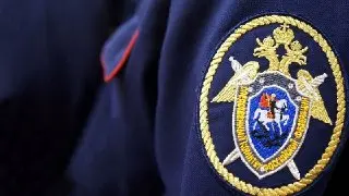 Пропавшая девочка из Пущино найдена: подробности расследования