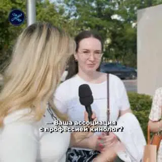 Как кинологи и их собаки обеспечивают безопасность в аэропорту