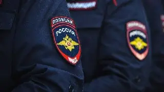 Собака акита напала на ребенка: расследование в Дубцах