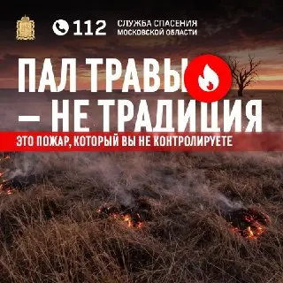 Пал травы в Подмосковье: опасность пожаров и как избежать беды