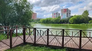 Обновление амфитеатра на городском пруду: новые ступени и ограждения