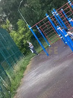 Подозрительный мужчина замечен на детской площадке у гимназии