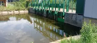 Река Сходня Возвращается: Обмеление Устранено в Химках