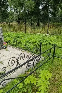 Чистота на Кладбище в Отяково: Обращение Гражданина к Администрации