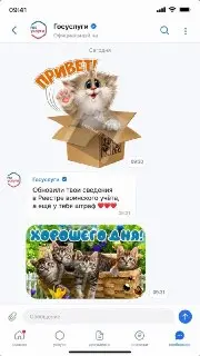 Госуслуги станут новым мессенджером для россиян