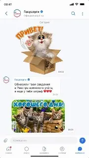 Госуслуги могут стать новым госмессенджером и соцсетью