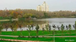 В пруду парка «Царицыно» найдено тело мужчины с побоями