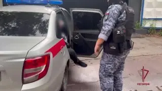 Задержание подозреваемого в Пушкино: Росгвардия раскрыла преступника