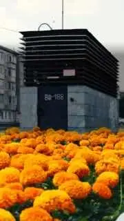 Киоски у метро преобразят в уютные городские пространства
