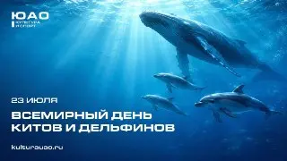 Всемирный день китов и дельфинов: защита морских млекопитающих