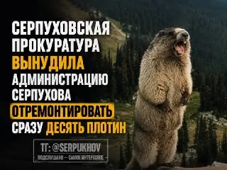 Серпуховская администрация запустила ремонт плотин после предписания прокуратуры